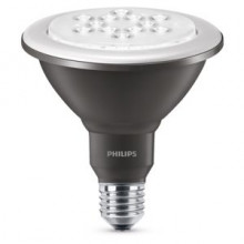 Philips LED Riflettore